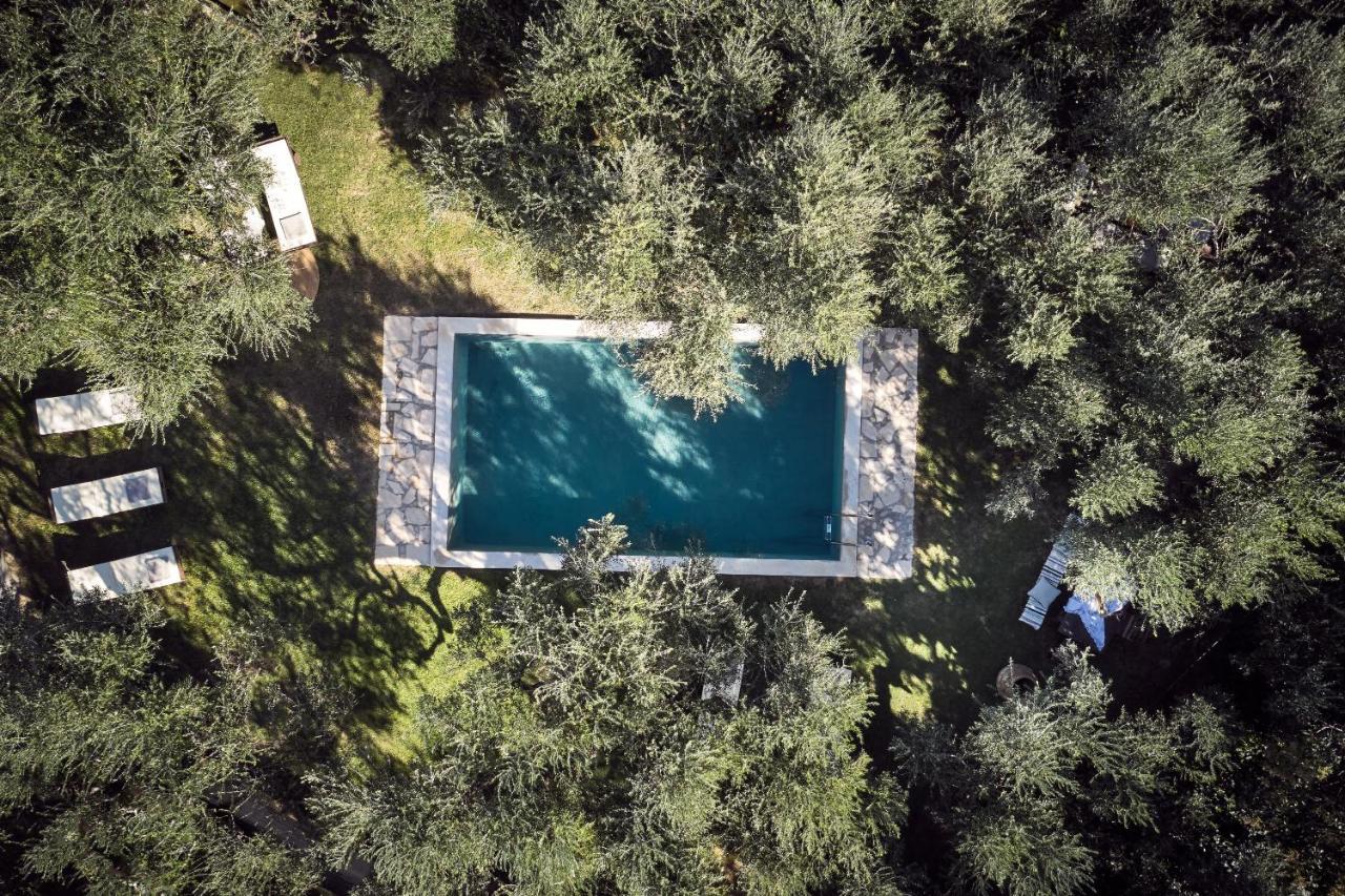 Vafias Villa - Tranquil Location, Ideal For Large Groups, By Zantewize Lithakia  Eksteriør billede